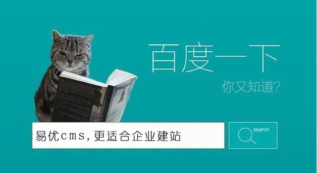 网站优化不同阶段的seo优化策略(图4) 网站优化不同阶段的seo优化策略(图4)